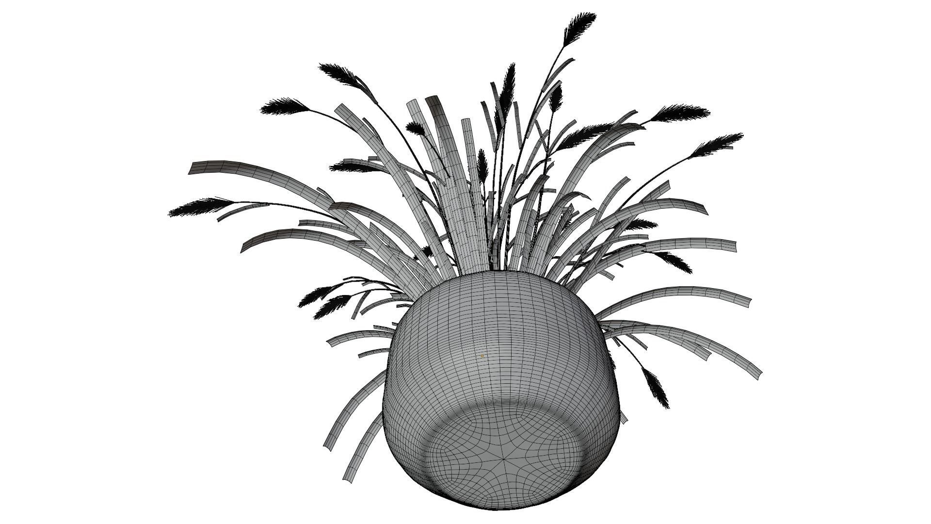 Pampass Flower 3D model_17