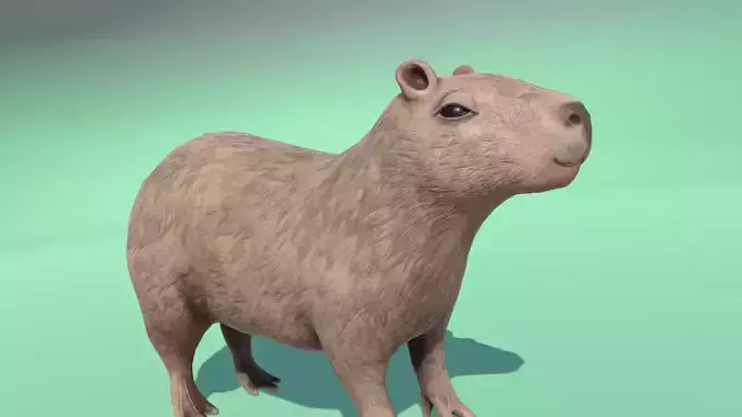 Capybara model for the game Low poly and High poly Low-poly 3D model
