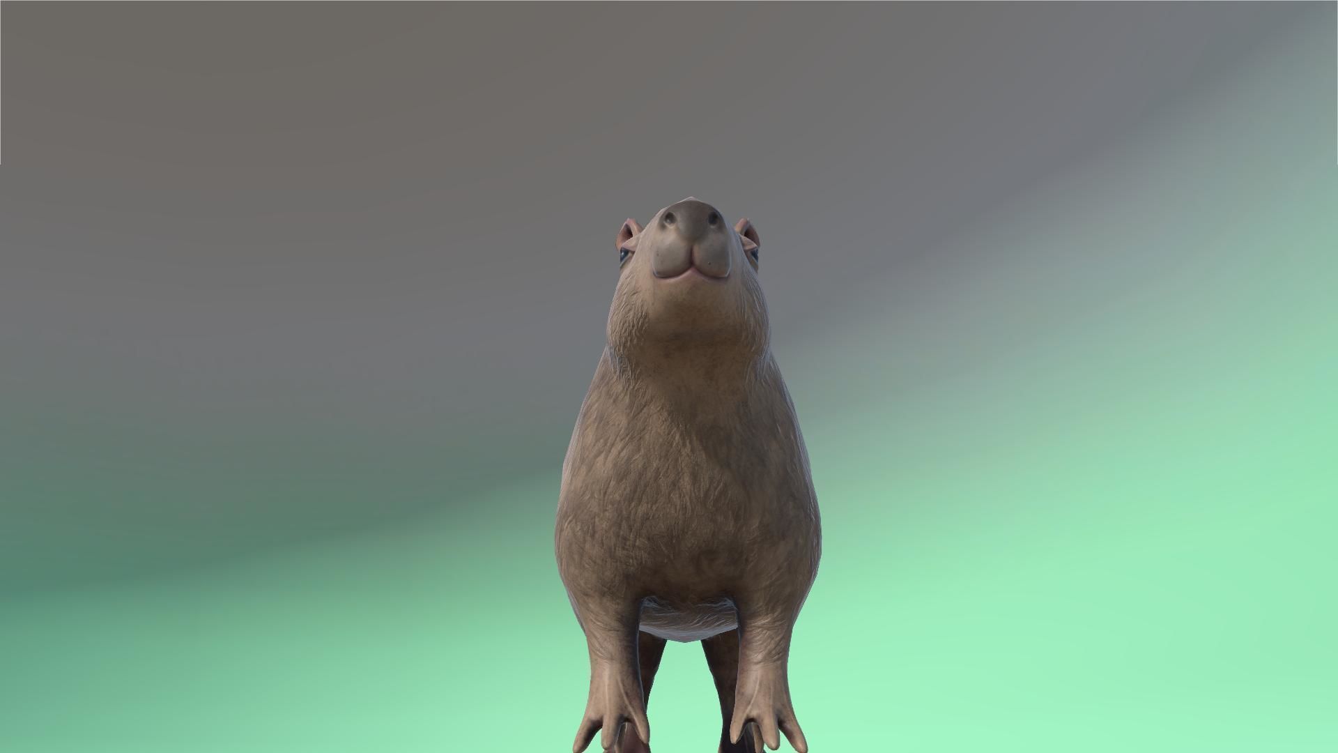 Capybara model for the game Low poly and High poly Low-poly 3D model_12