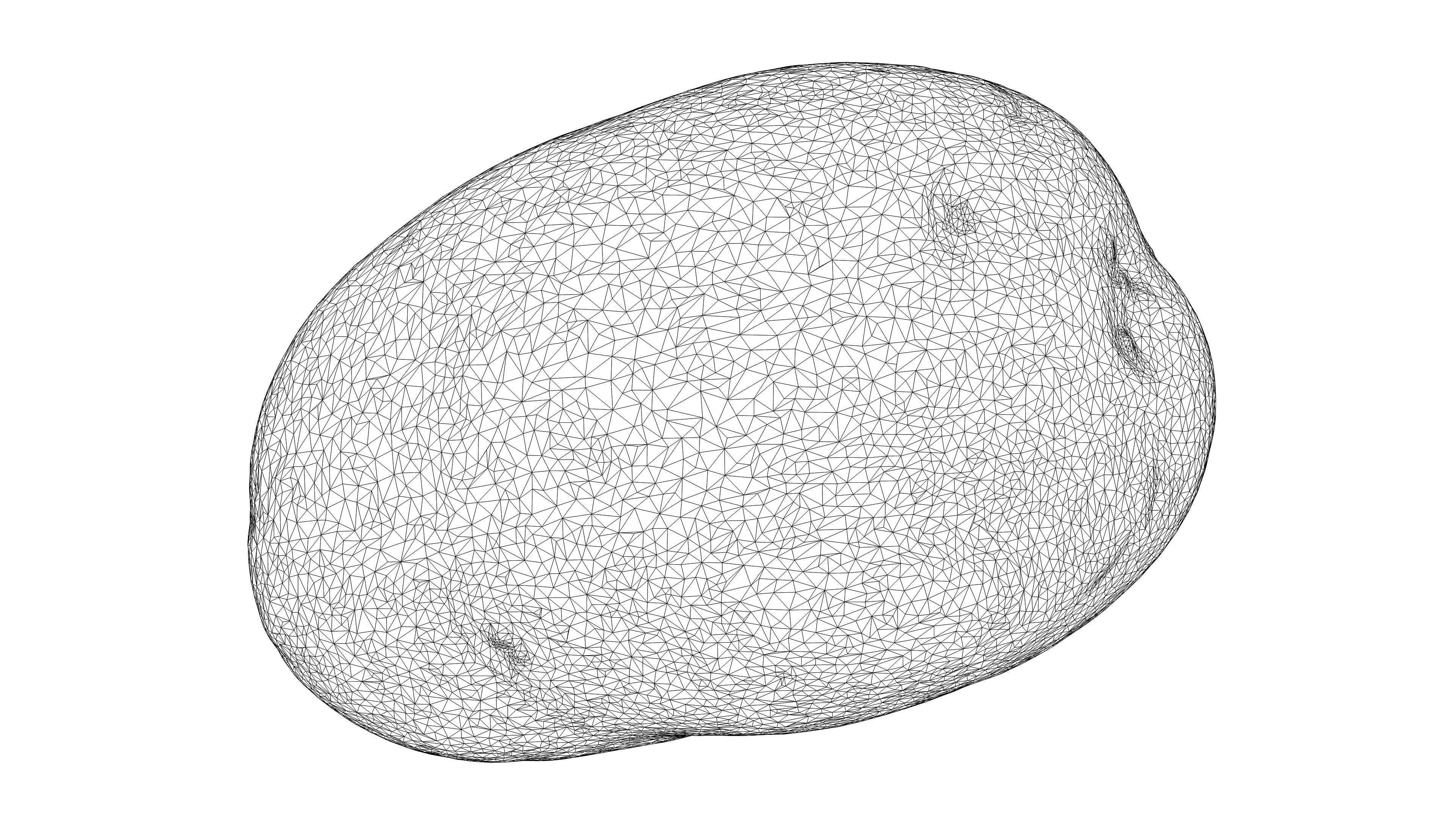 Photorealistic 3D scan of potato Low-poly 3D model_23