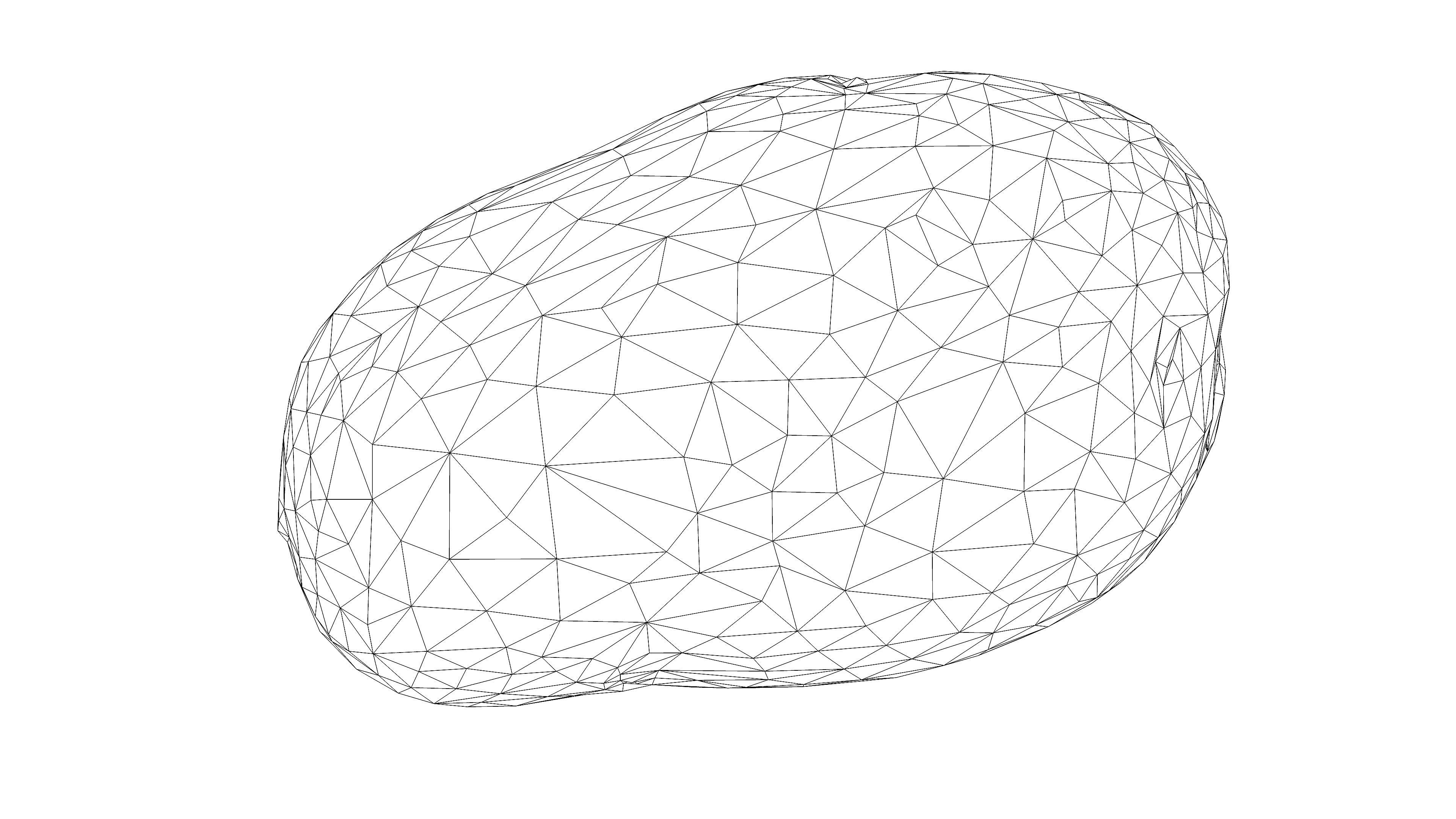 Photorealistic 3D scan of potato Low-poly 3D model_18