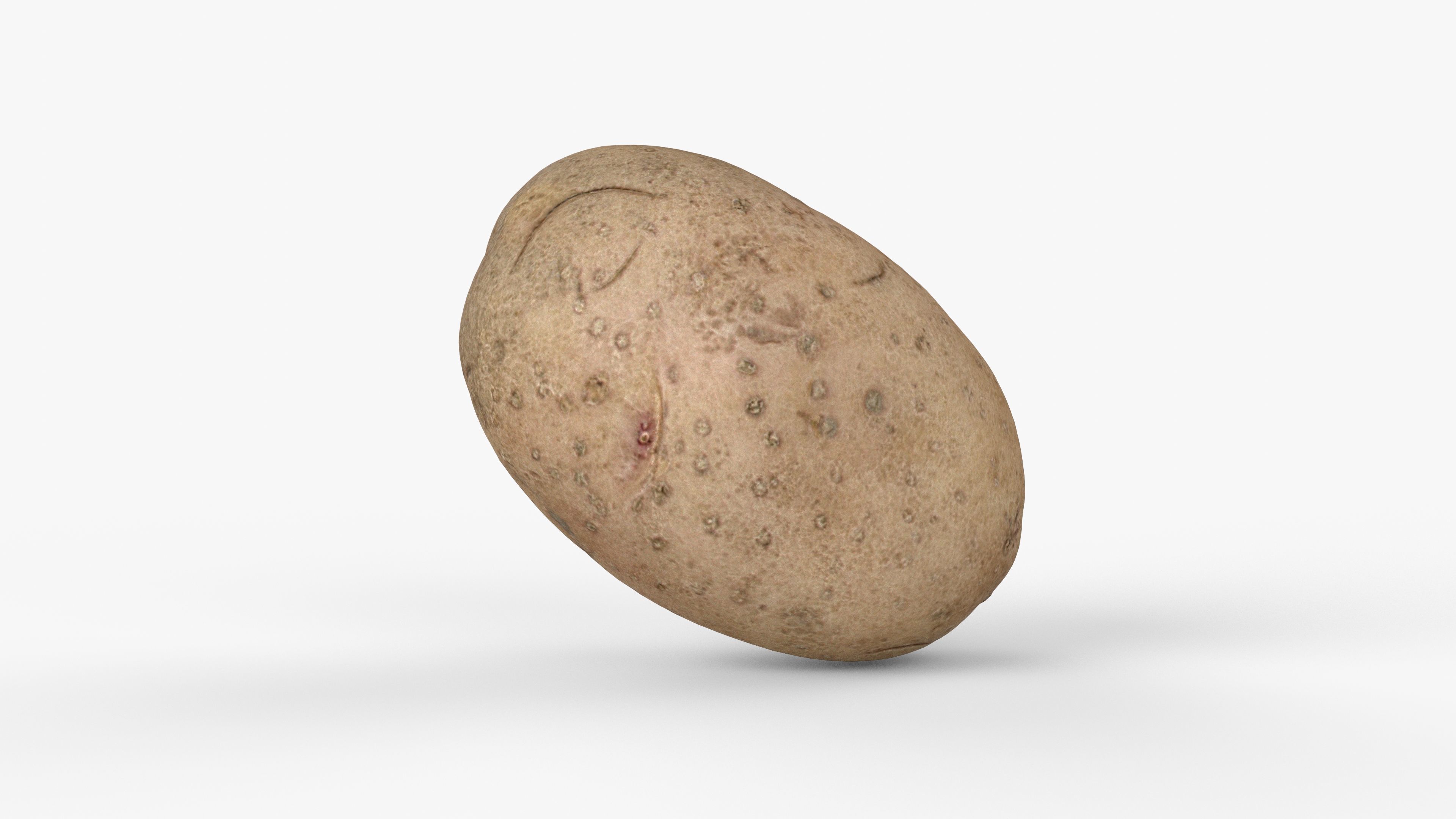 Photorealistic 3D scan of potato Low-poly 3D model_13
