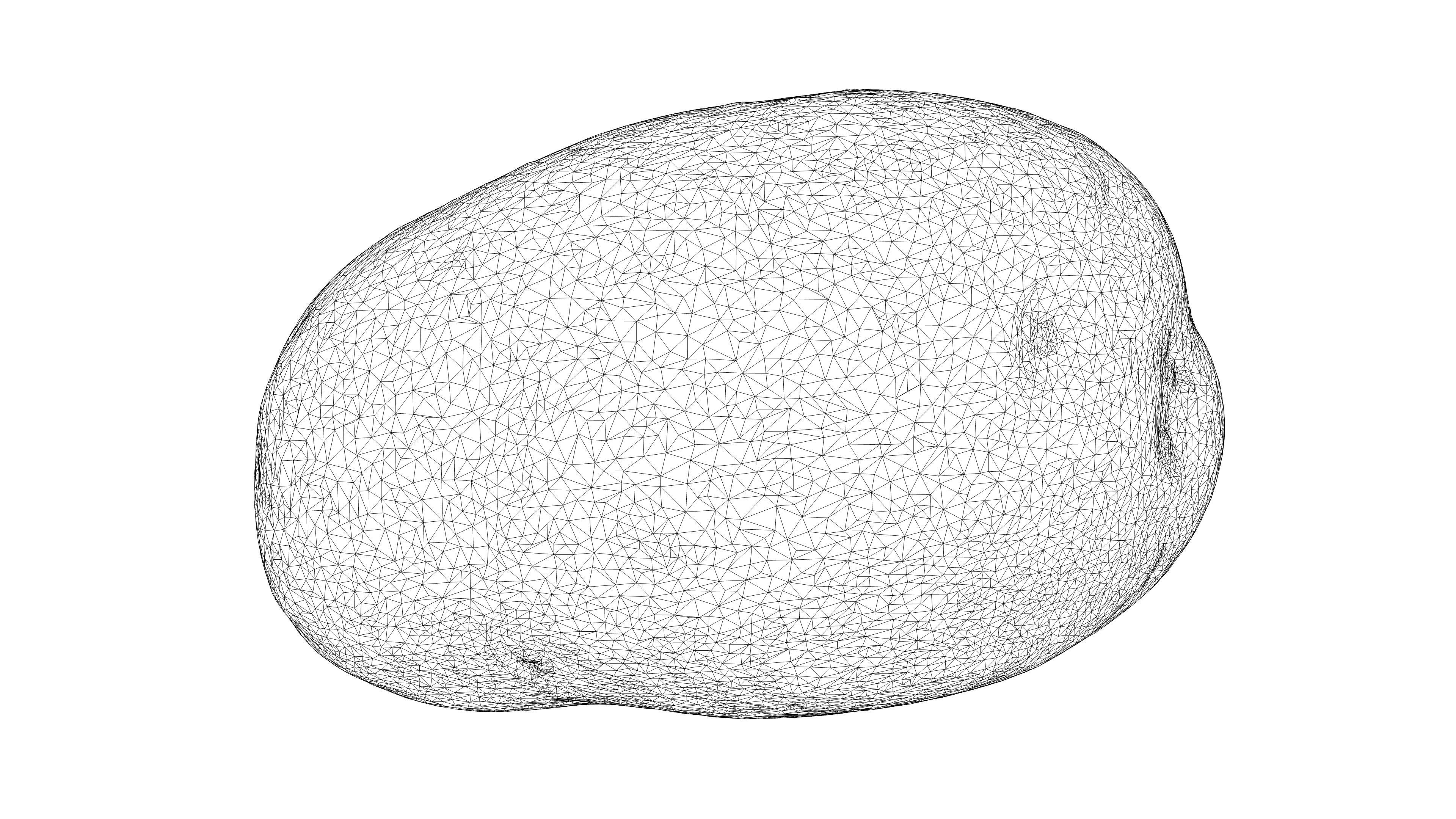 Photorealistic 3D scan of potato Low-poly 3D model_21
