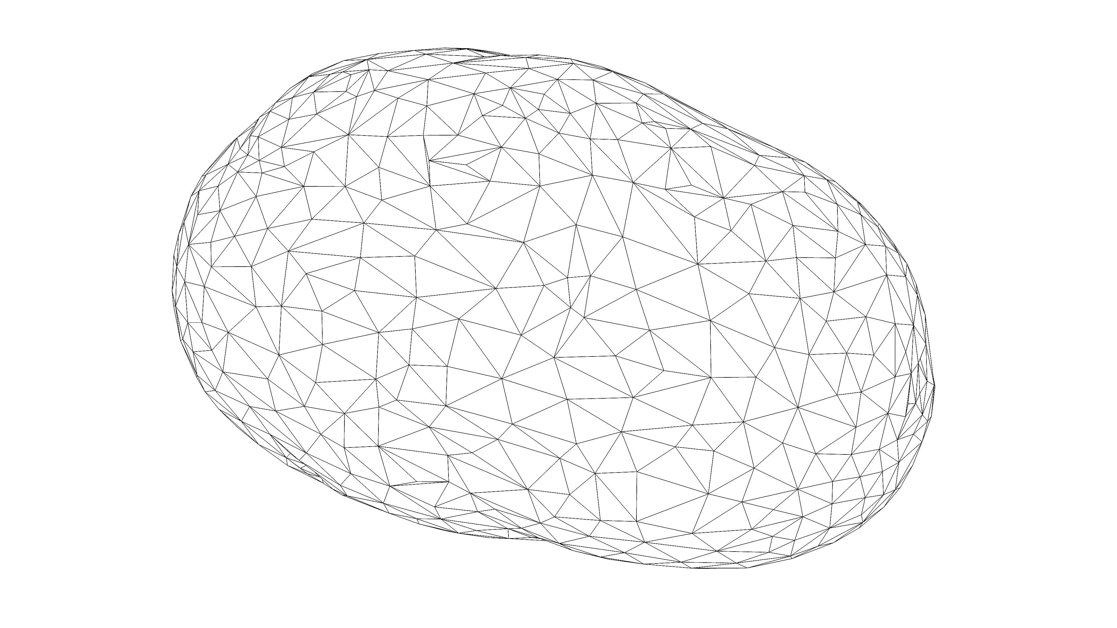 Photorealistic 3D scan of potato Low-poly 3D model_17