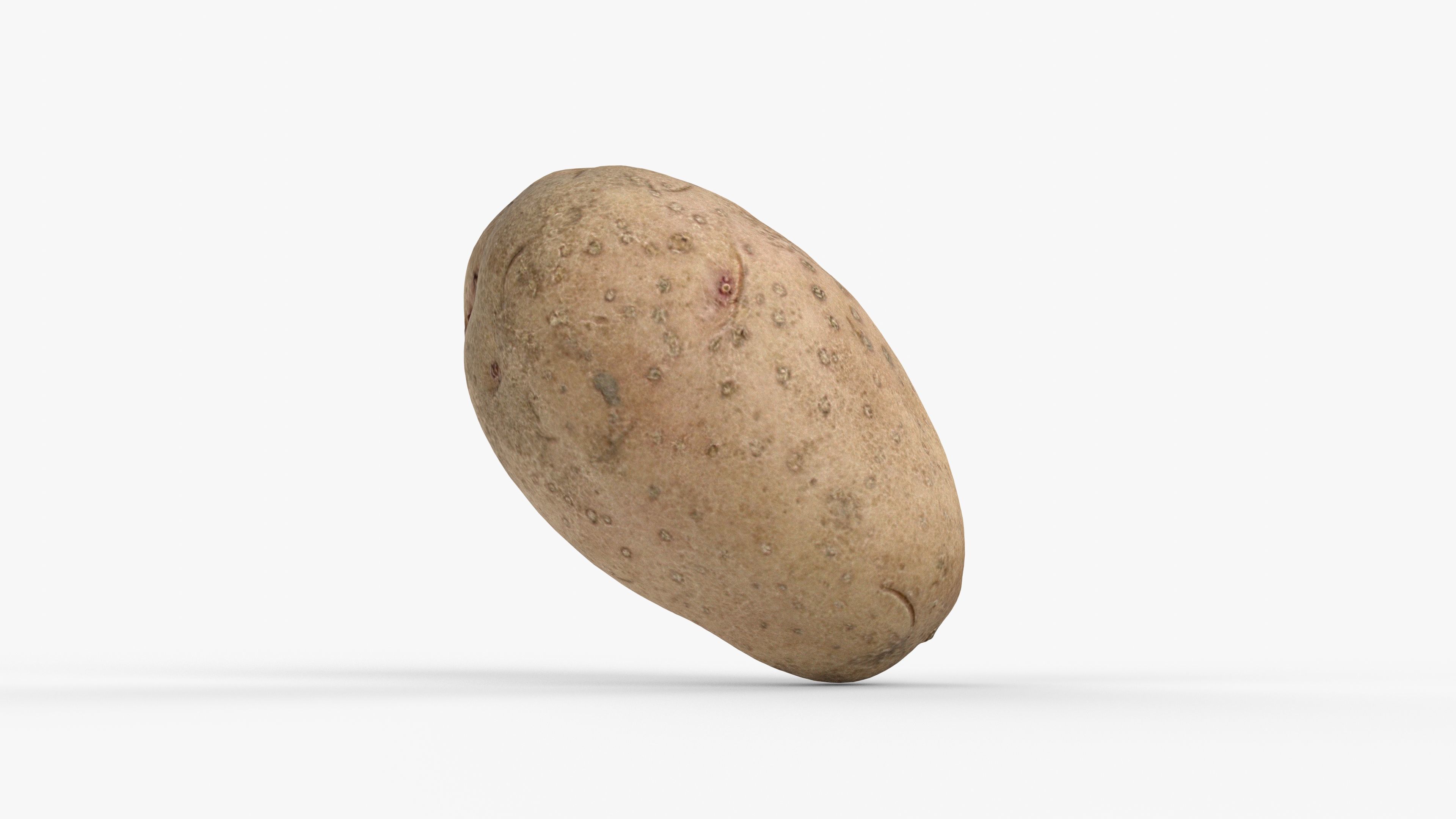 Photorealistic 3D scan of potato Low-poly 3D model_8