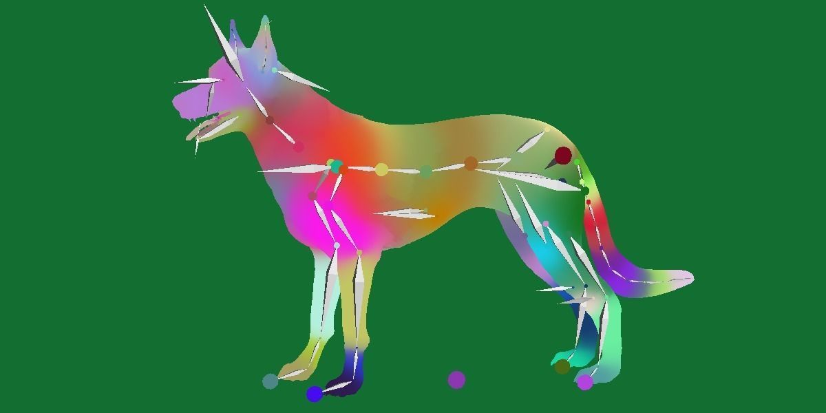 Australian Kelpie Dog 3D model_14