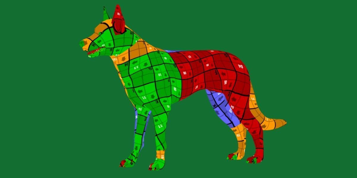 Australian Kelpie Dog 3D model_7