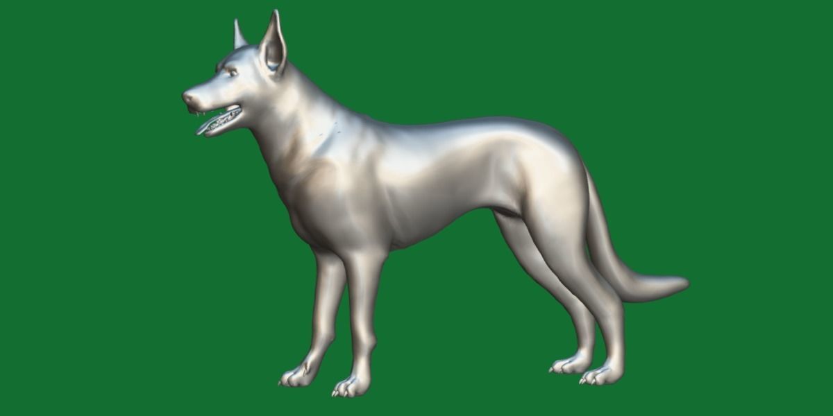 Australian Kelpie Dog 3D model_3