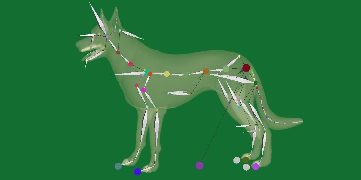 Australian Kelpie Dog 3D model_13