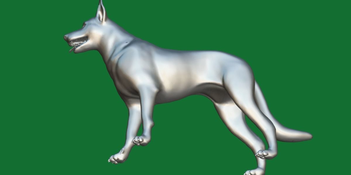 Australian Kelpie Dog 3D model_4