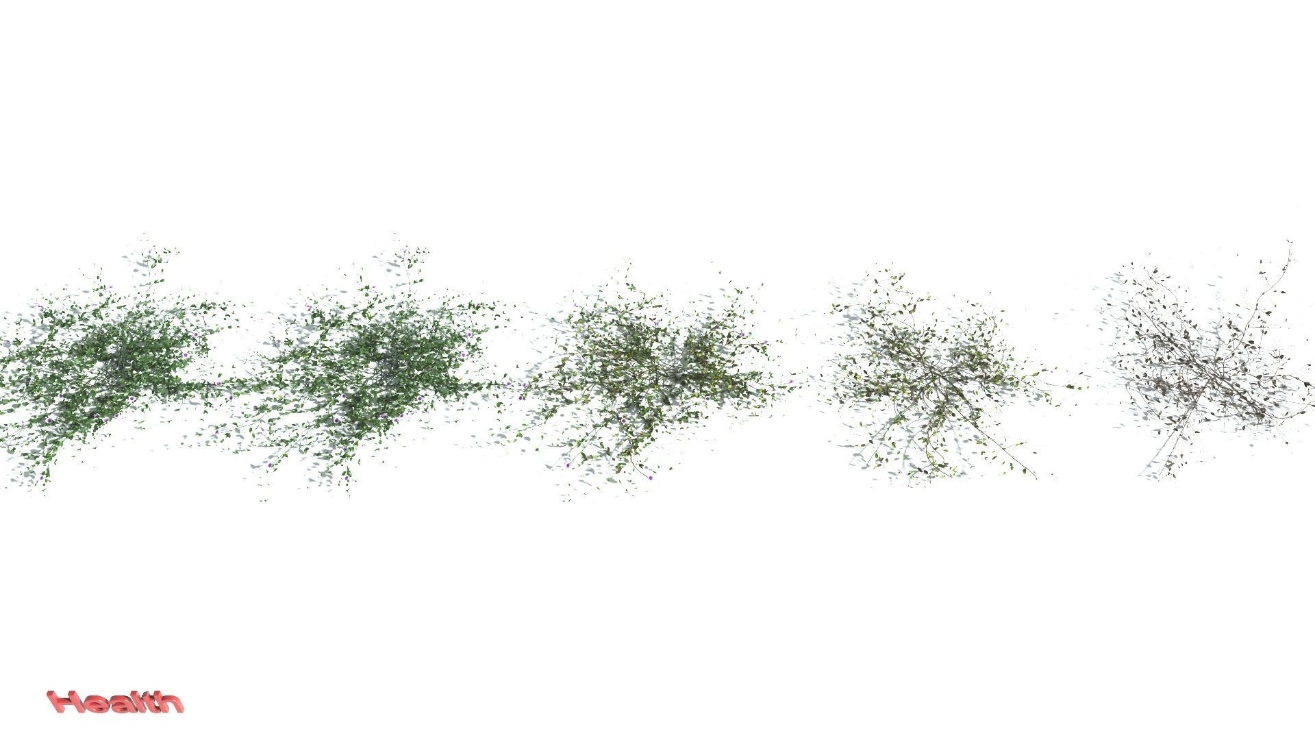 EVERYPlant Beach Morning Glory 2 --14 Models-- 3D model_1