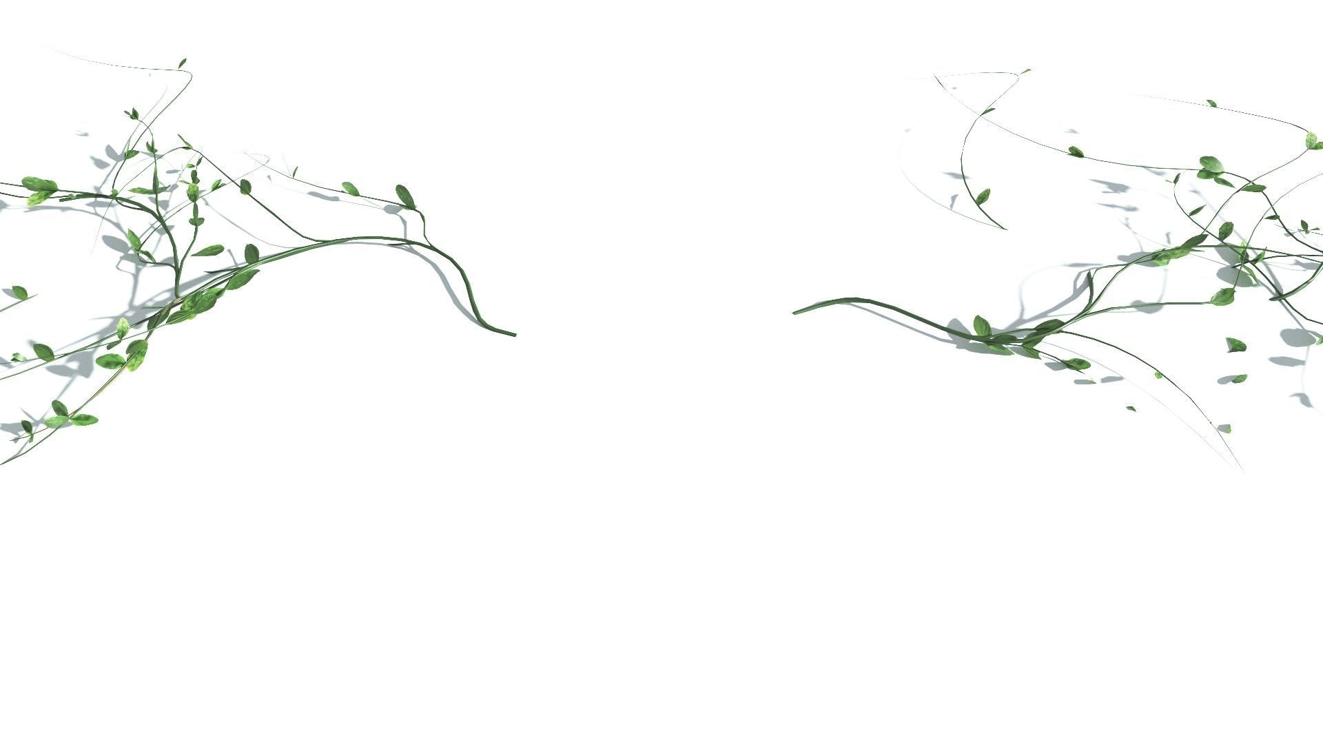 EVERYPlant Beach Morning Glory 2 --14 Models-- 3D model_22