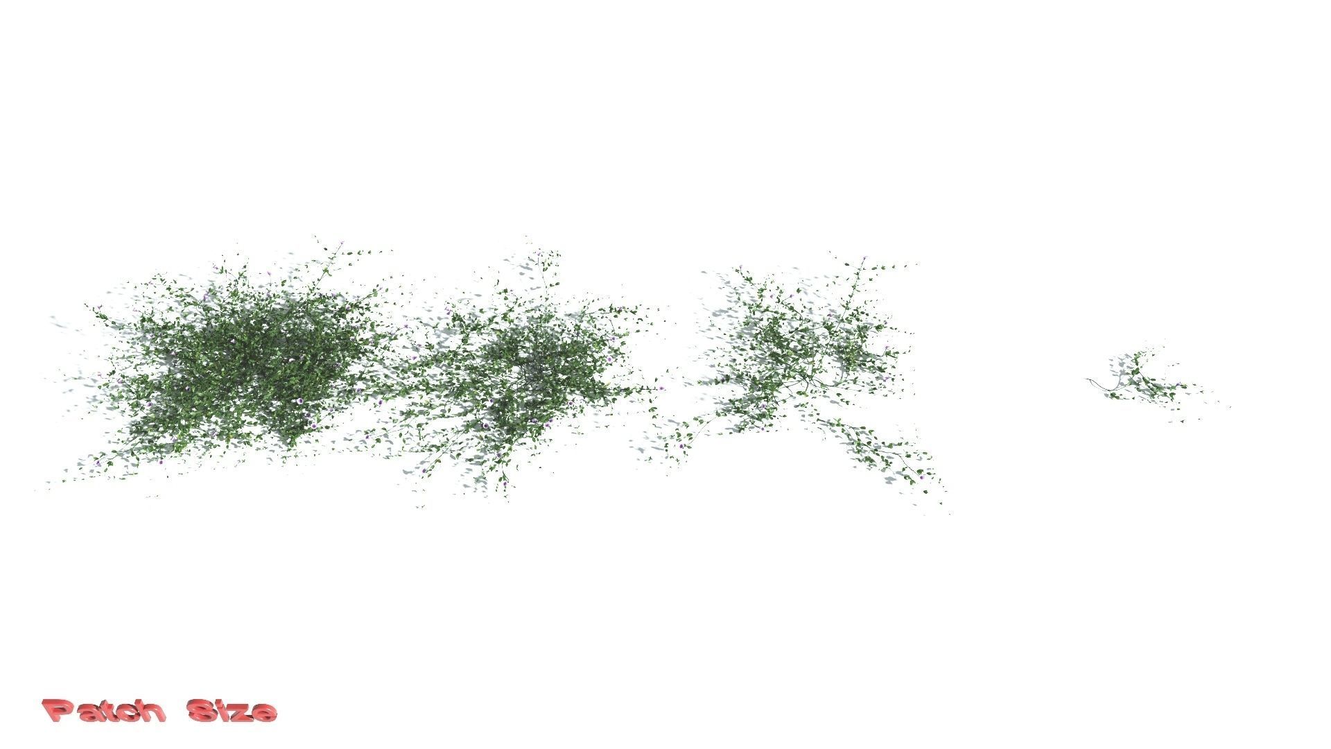 EVERYPlant Beach Morning Glory 2 --14 Models-- 3D model_3