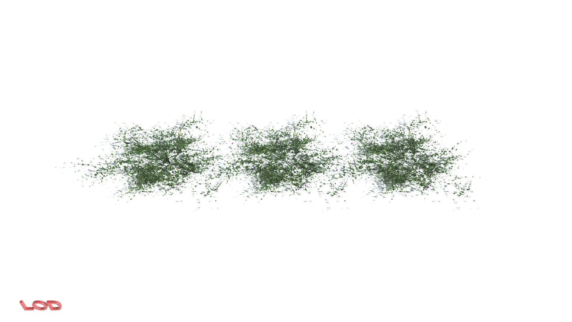 EVERYPlant Beach Morning Glory 3 --14 Models-- 3D model_4