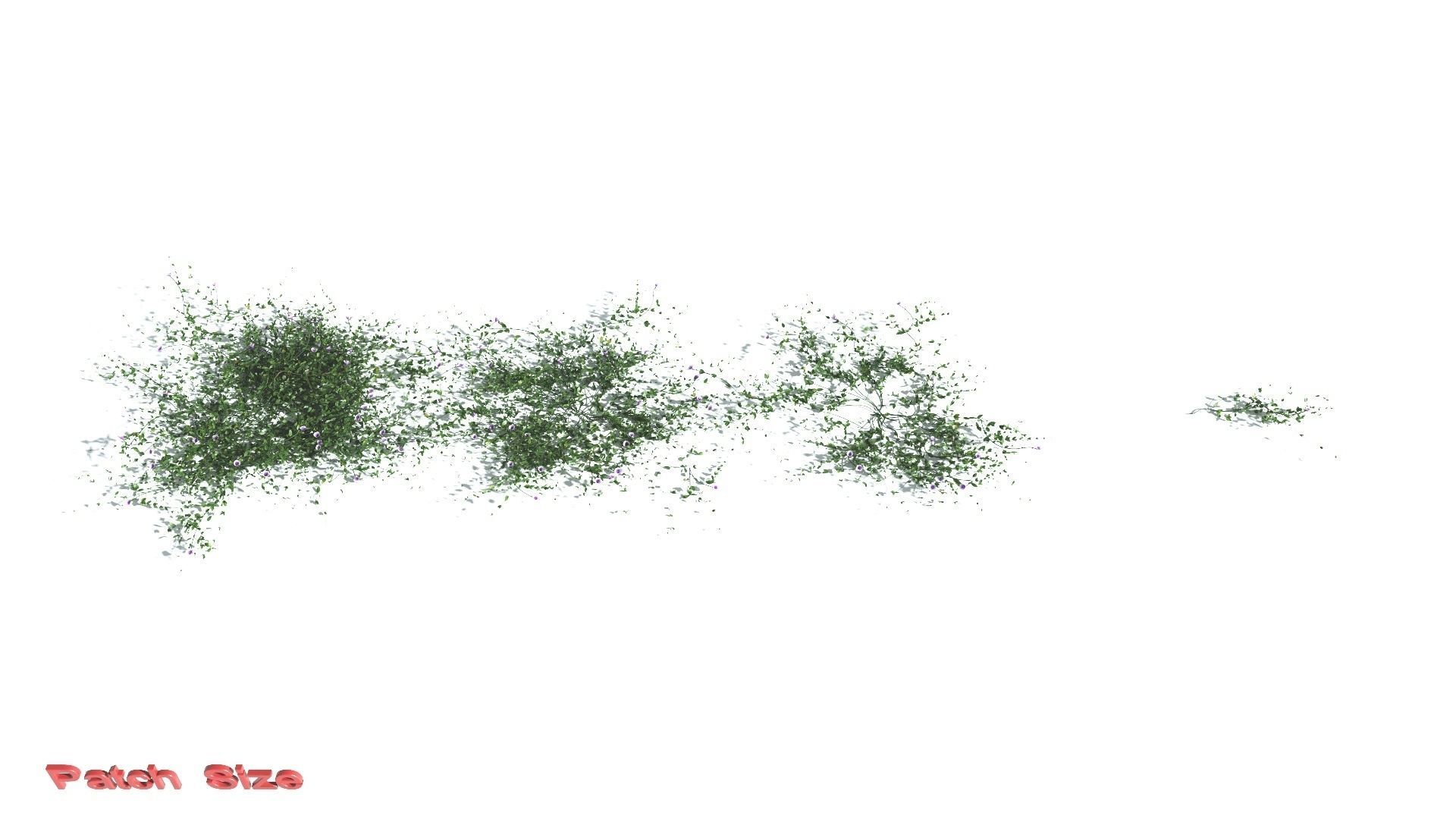 EVERYPlant Beach Morning Glory 3 --14 Models-- 3D model_3