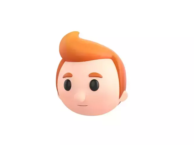 Prop291 Boy Head 3D model
