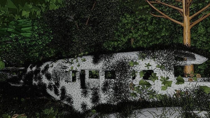 Abandoned airplane crashed on forest 3D model 7