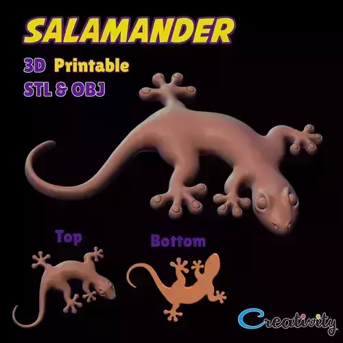 3D SALAMANDER 3D print model