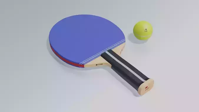 Ping Pong Paddle Set