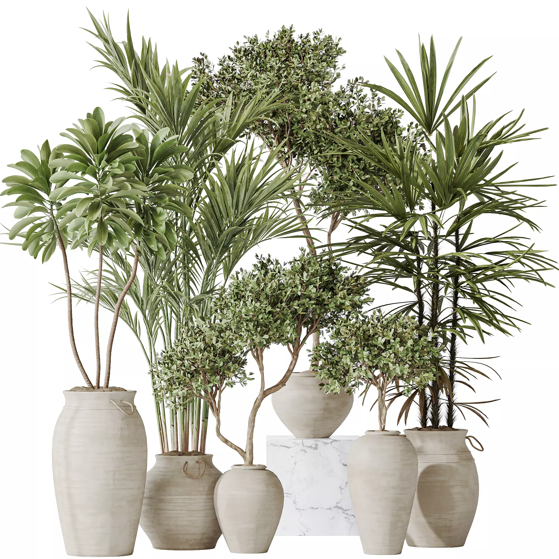 Indoor plants set 87 Mission Olive and Areca Reed Palm 3D model_0