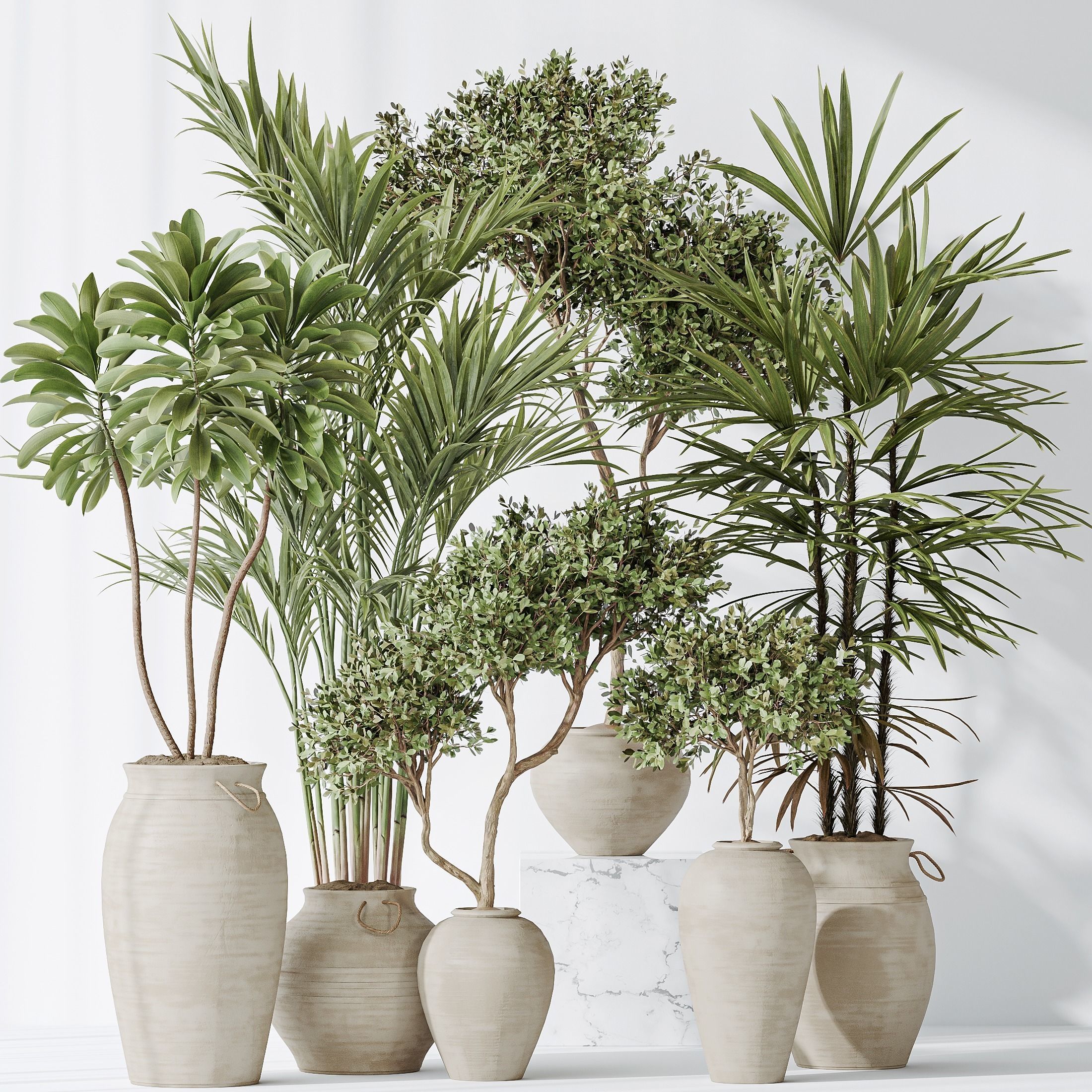 Indoor plants set 87 Mission Olive and Areca Reed Palm 3D model_2