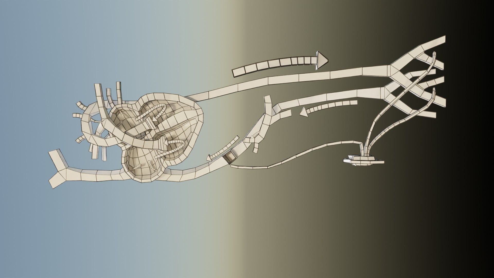 TAF Tetralogy of Fallot vs Normal circulation Low-poly 3D model_60