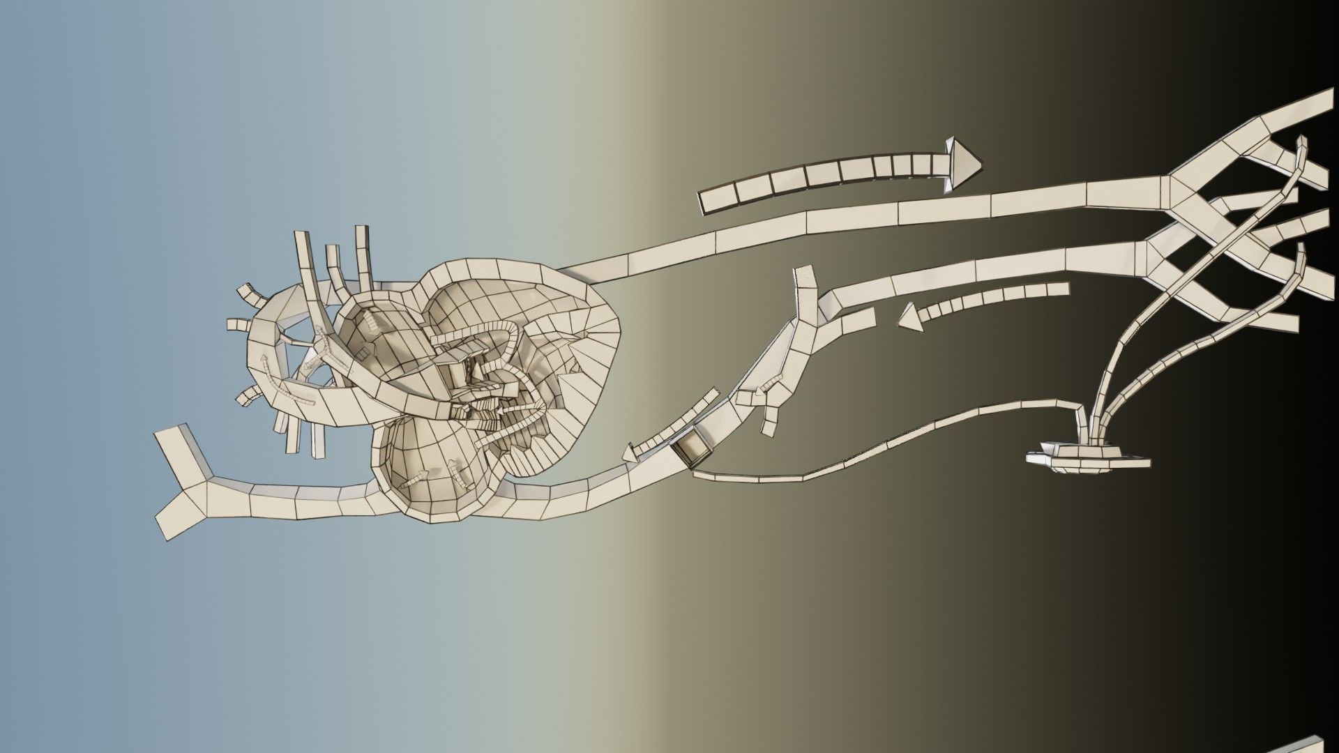 TAF Tetralogy of Fallot vs Normal circulation Low-poly 3D model_46