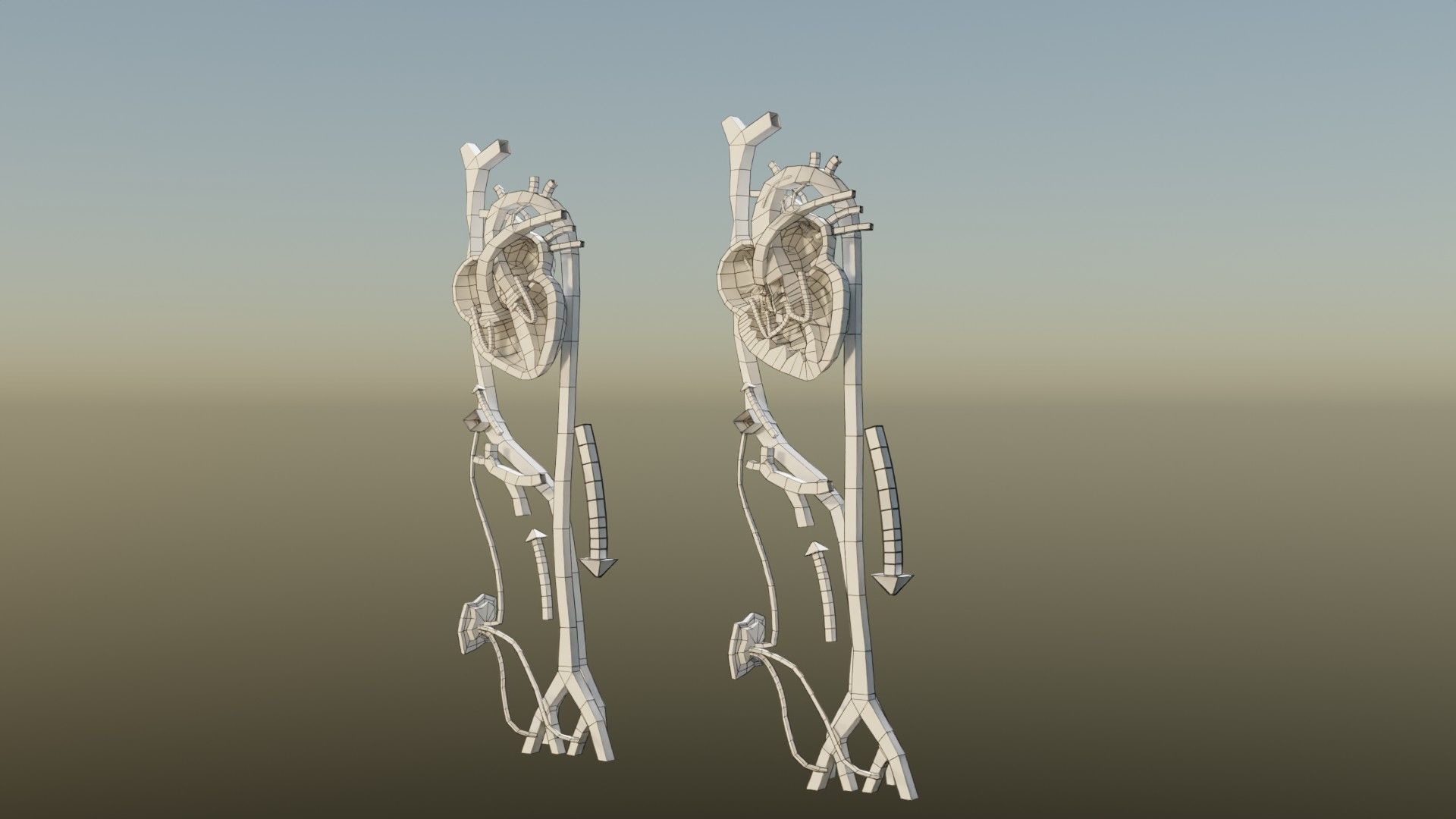 TAF Tetralogy of Fallot vs Normal circulation Low-poly 3D model_41