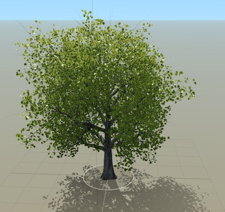 Broadleaf tree SpeedTree 3D model_4