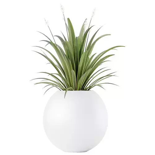 HQ HousePlants Decorative Green Dracaena Cane Dragon 3D model