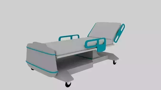 hospital bed maya
