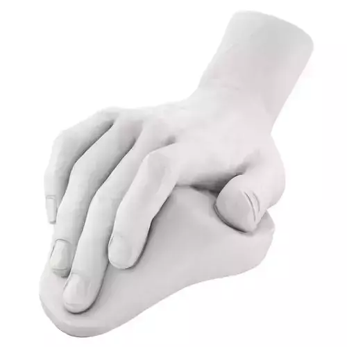 The Plaster Model of Davids Hand