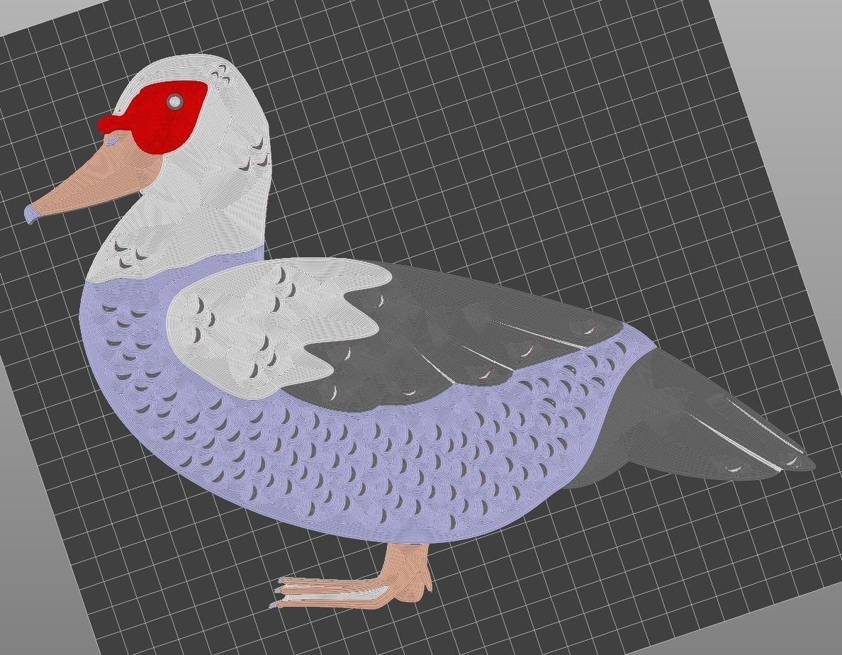 Muscovy Duck Wall Art Commercial 3D print model_7
