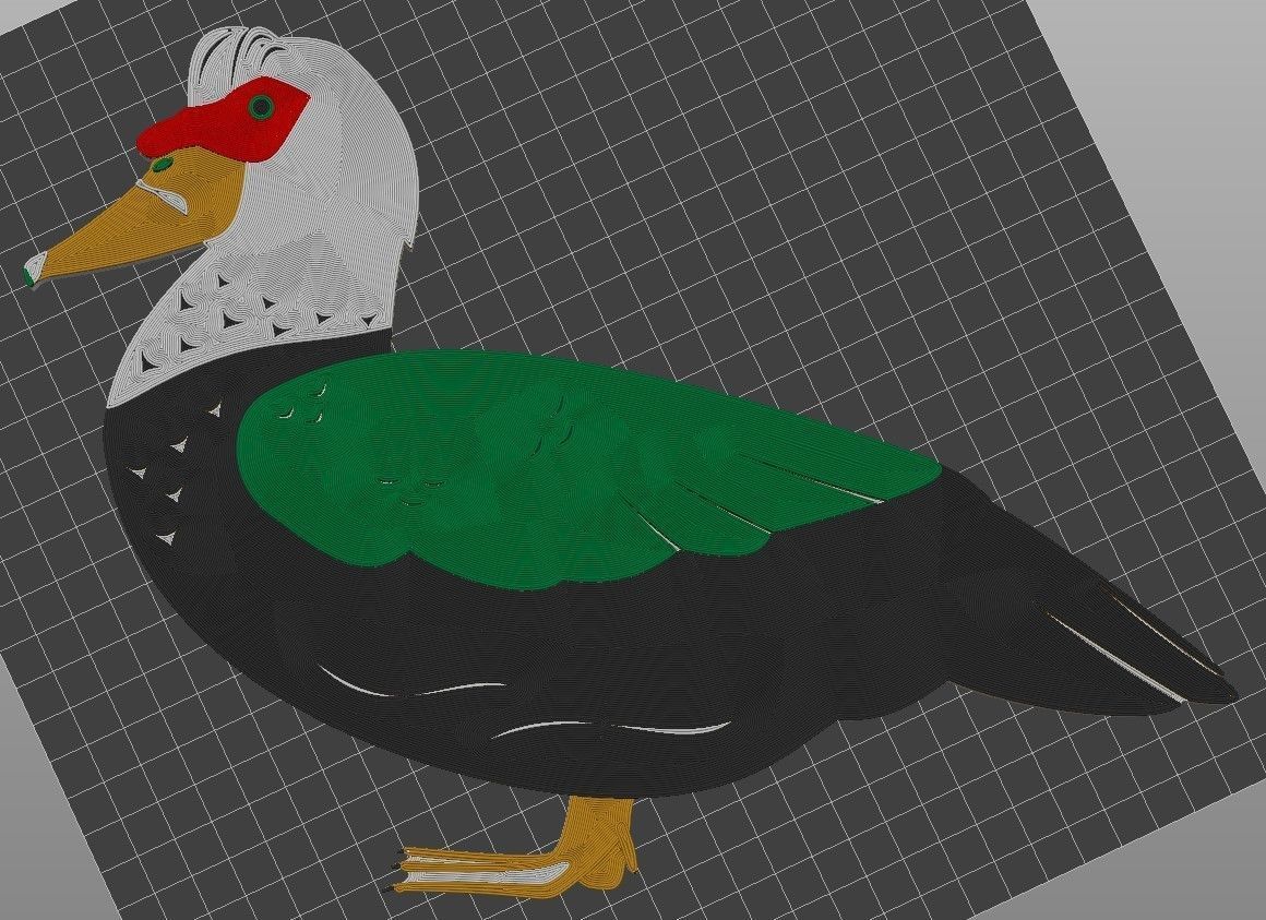 Muscovy Duck Wall Art Commercial 3D print model_6