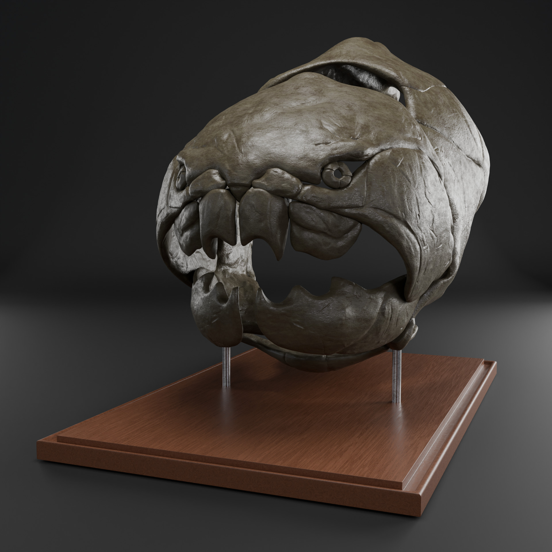 Dunkleosteus skull 3D print model_2