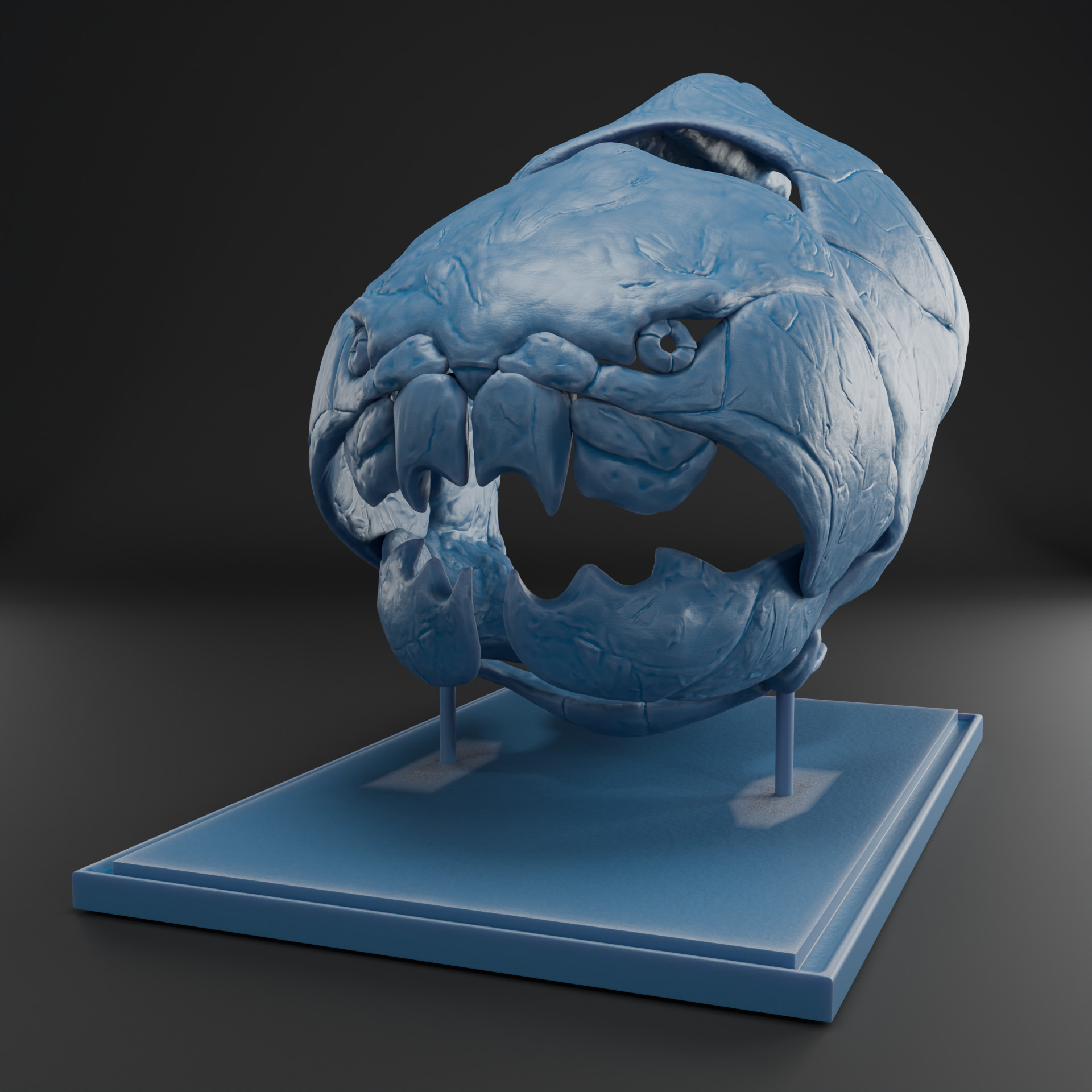 Dunkleosteus skull 3D print model_9