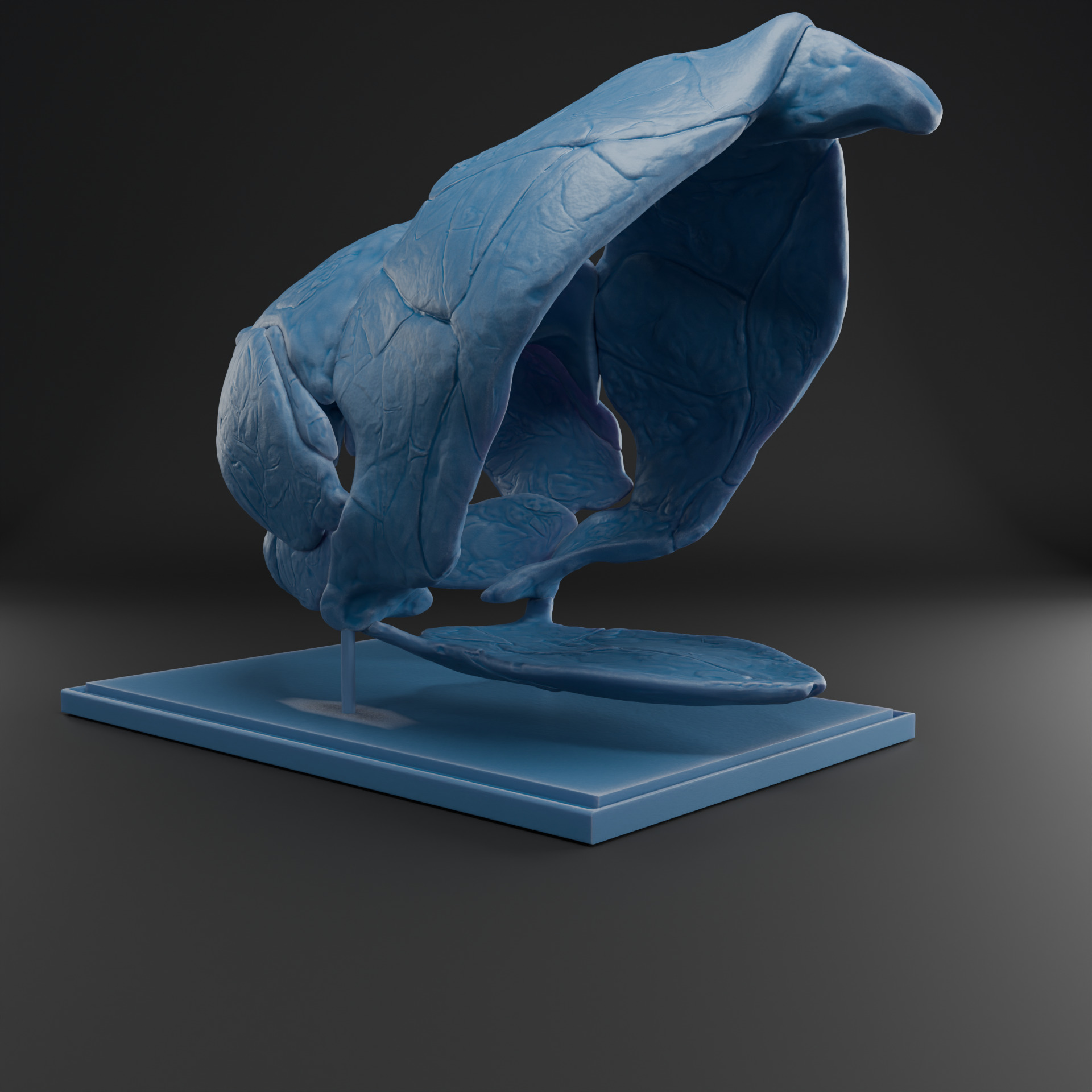 Dunkleosteus skull 3D print model_12