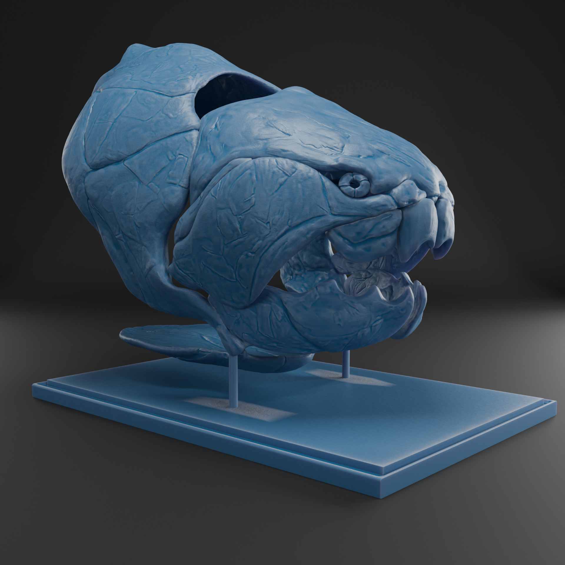 Dunkleosteus skull 3D print model_7