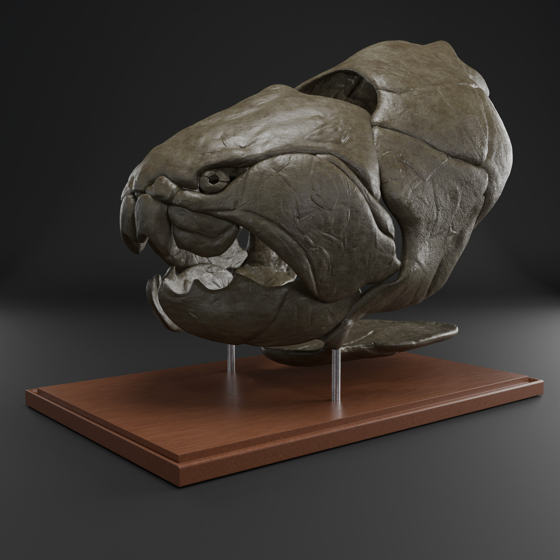 Dunkleosteus skull 3D print model_3