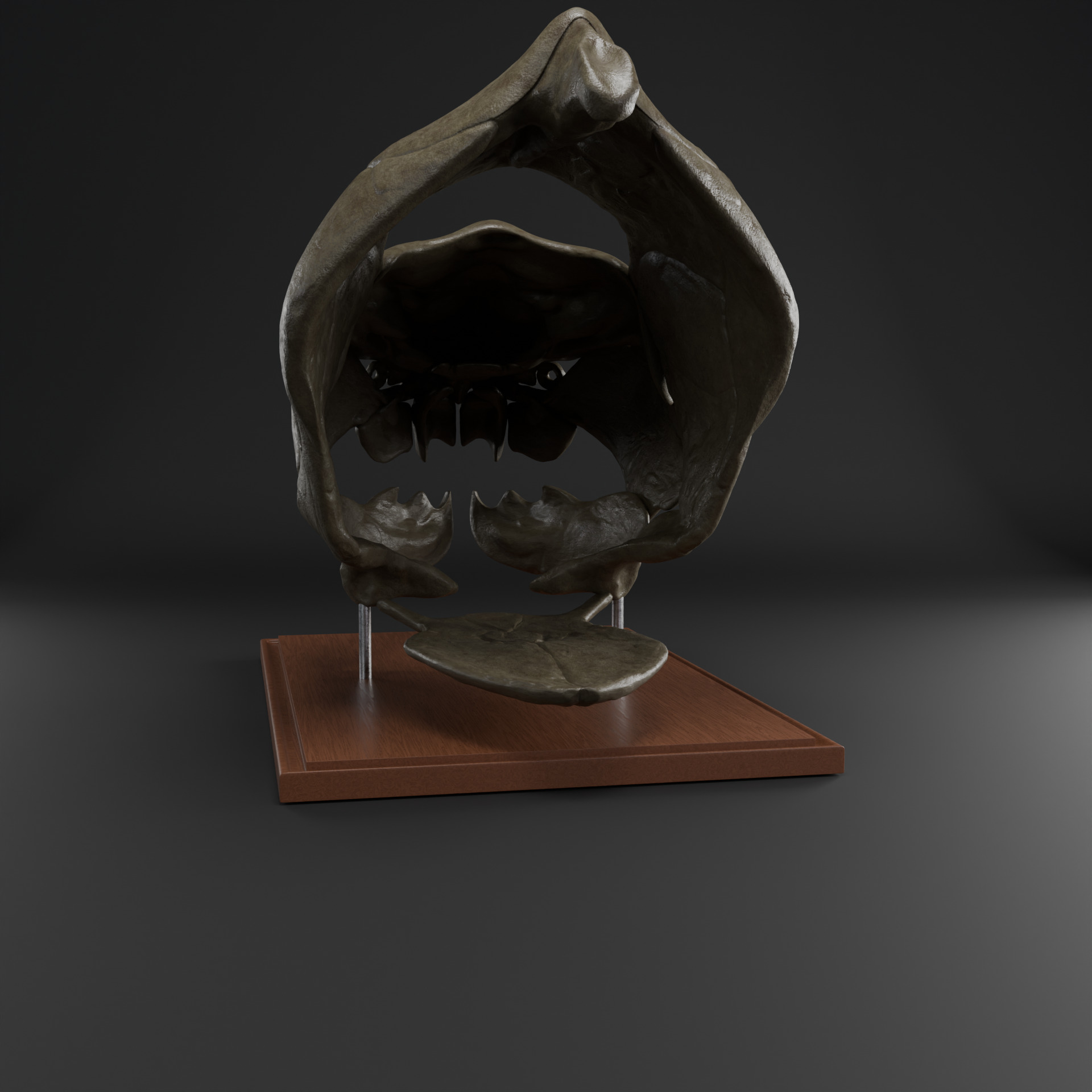 Dunkleosteus skull 3D print model_6