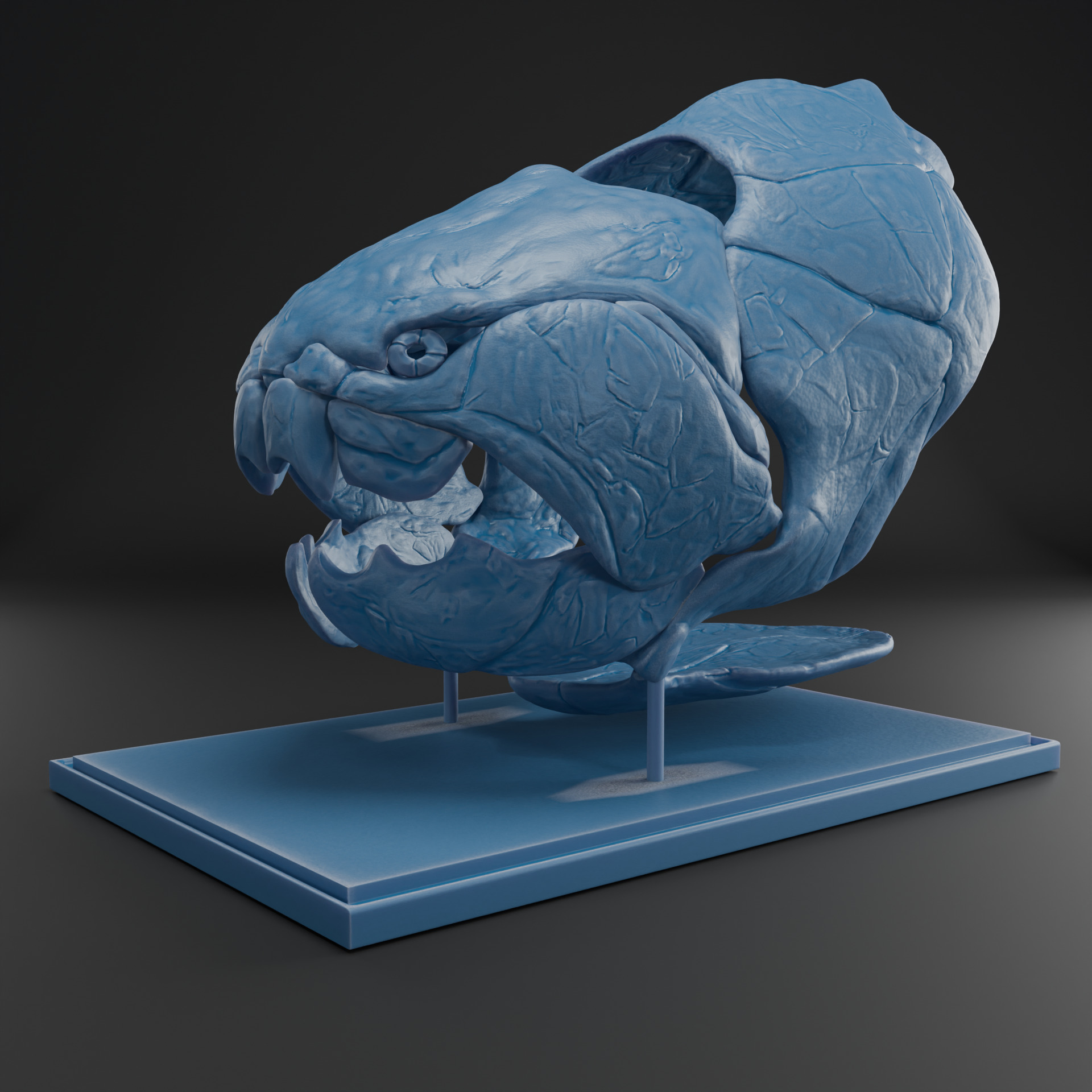 Dunkleosteus skull 3D print model_10