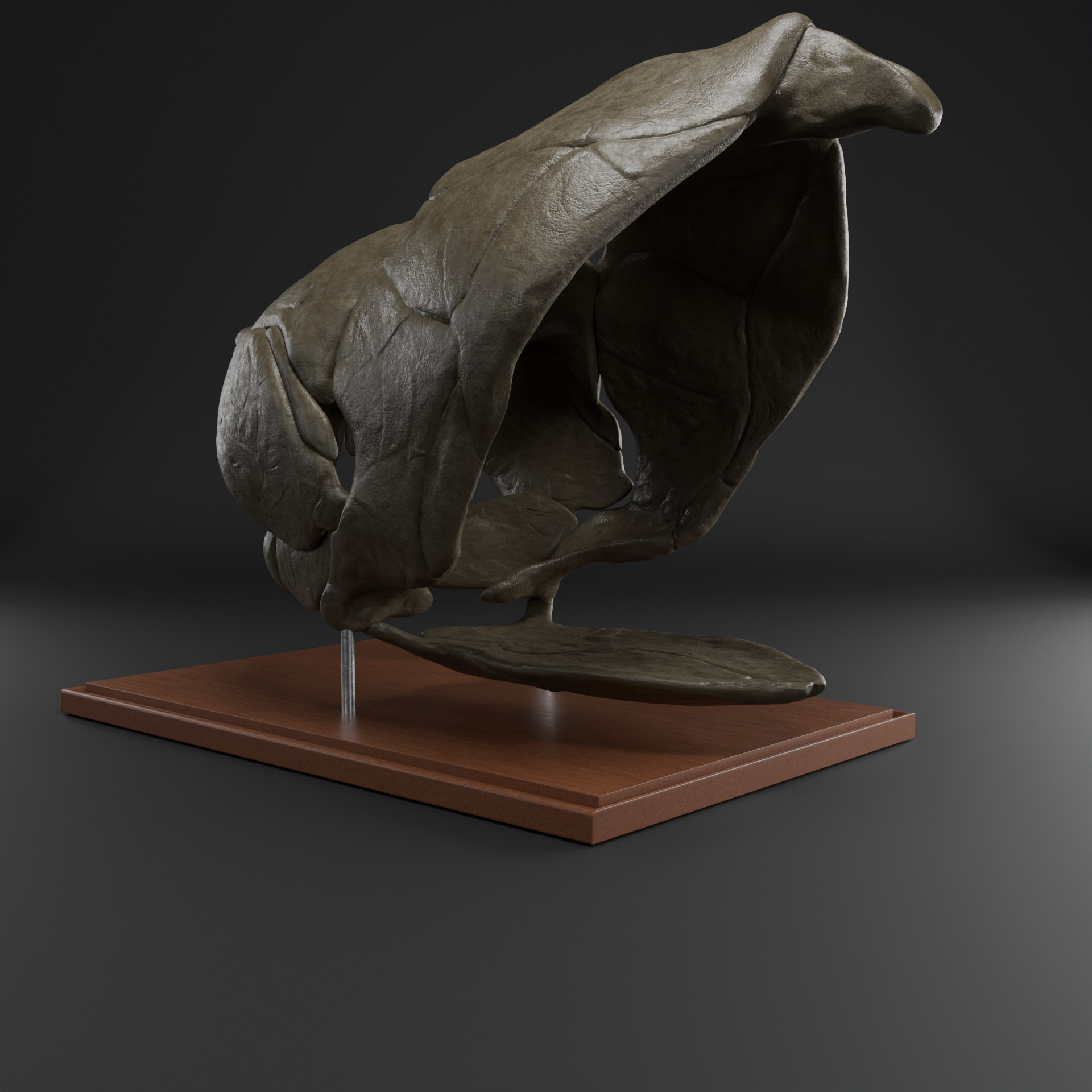 Dunkleosteus skull 3D print model_5