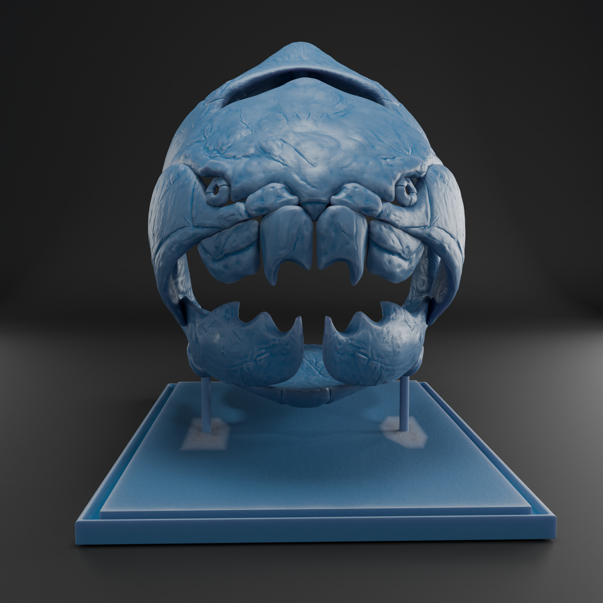 Dunkleosteus skull 3D print model_8