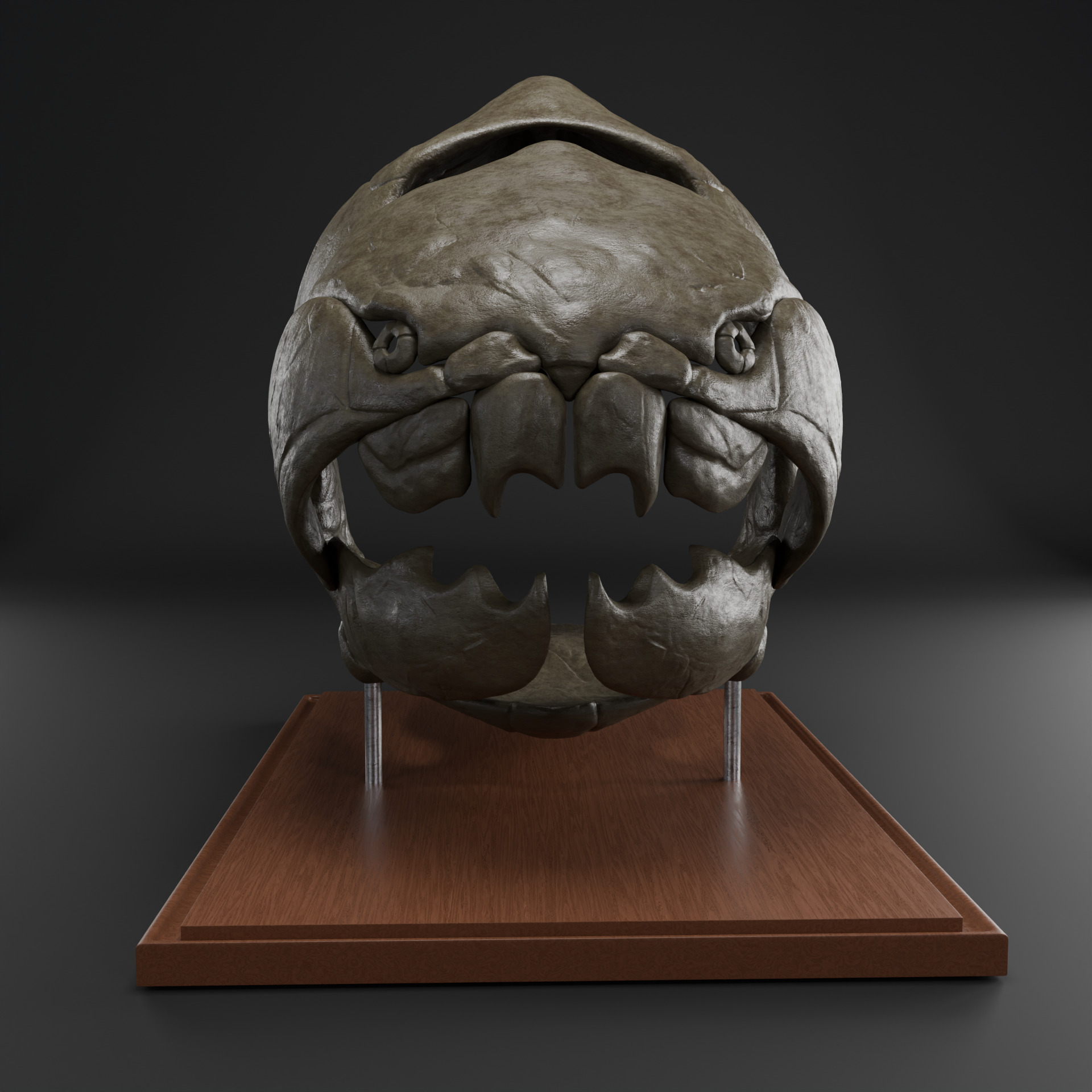 Dunkleosteus skull 3D print model_1