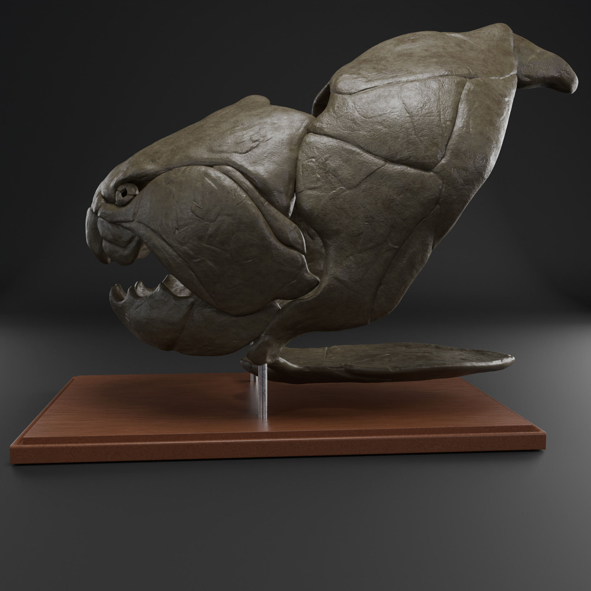 Dunkleosteus skull 3D print model_4
