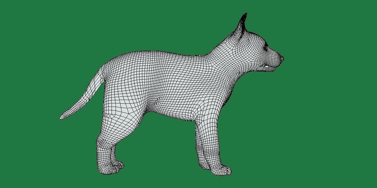 German Shepherd Puppy Dog Low-poly 3D model_8