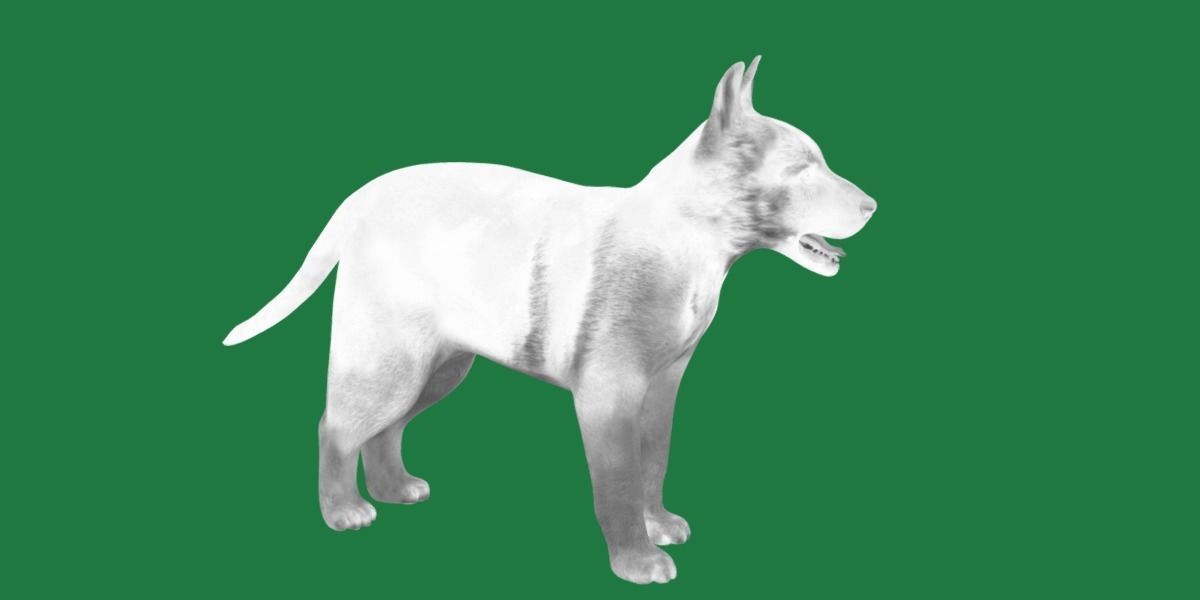 German Shepherd Puppy Dog Low-poly 3D model_4