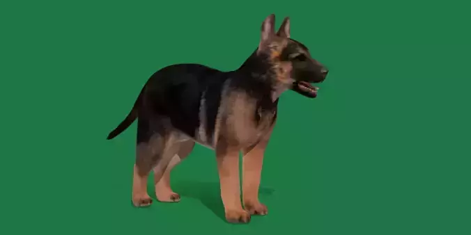 German Shepherd Puppy Dog Low-poly 3D model