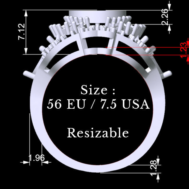 Marquise and Baguette Ring 3D print model_5
