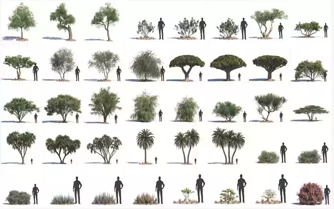 Archmodels vol 276 for c4d - desert plants 3D model